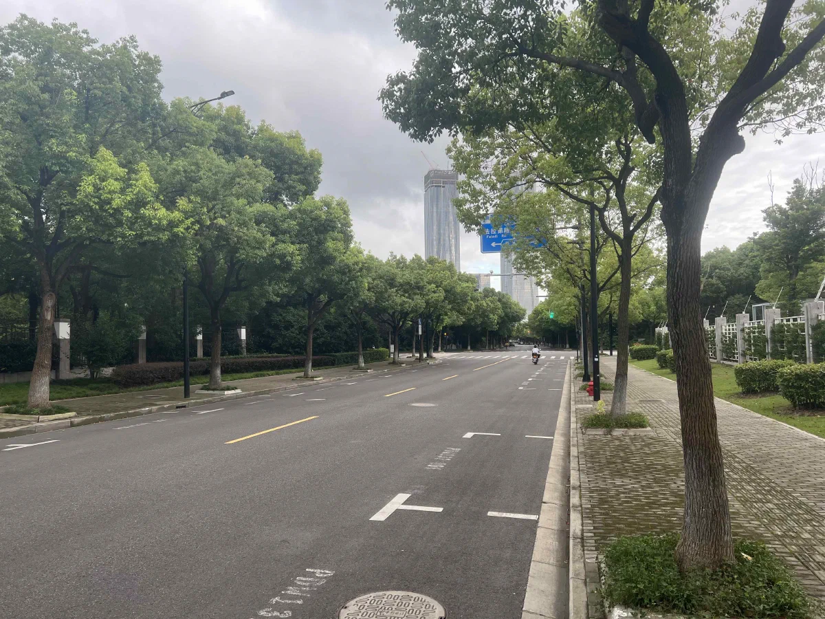 郊区的路边